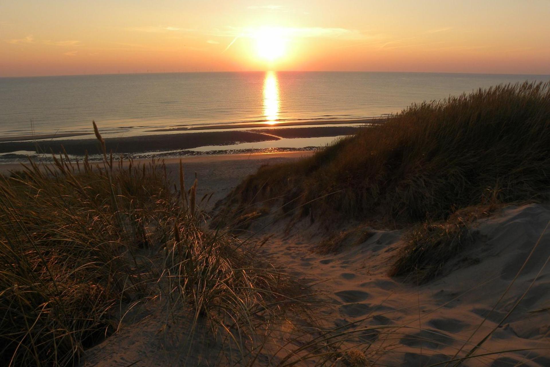 Apartamento Ammophila 2 Egmond aan Zee Exterior foto